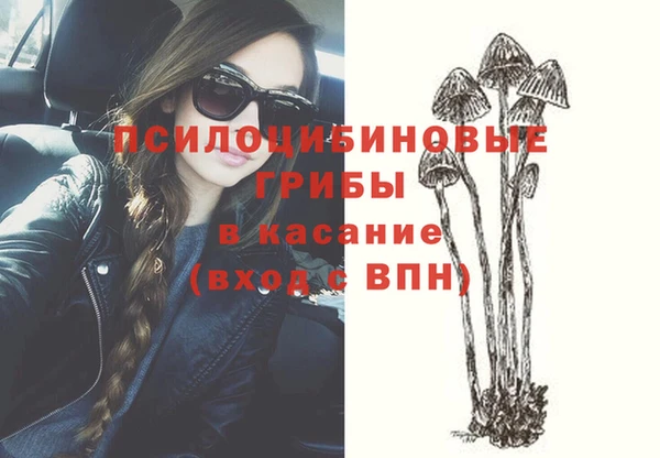 apvp Аркадак