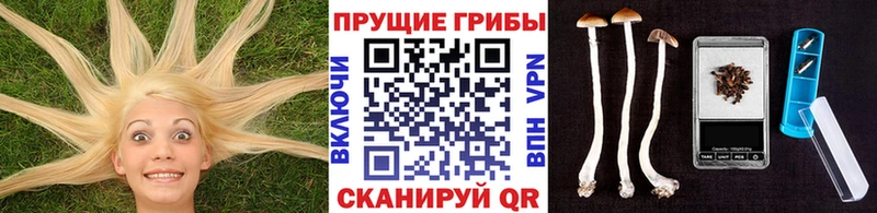 Галлюциногенные грибы мицелий  Сафоново 